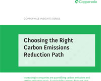 choosing the right emissions reduction-Path Insights
